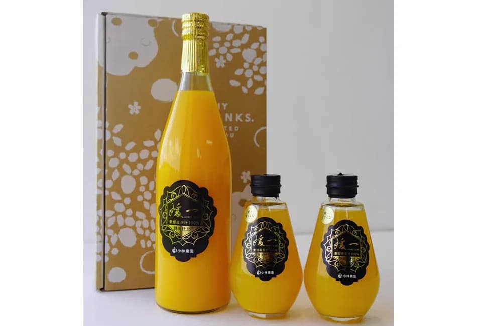媛一 大瓶1本・小瓶4本セット(温州みかん720ml 媛一まどんな・つぶ入りみかん・はるか・ニューサマーオレンジ160ml)
